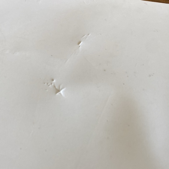 Halloween Greetings From Transylvania Placemat - Thick Vinyl Foam Backed 13”x18” - Picture 6 of 7